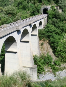 Mantigi Tunnel southern portal and Roia IV Bridge