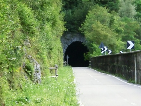 Ponte di Moggio e Simonetti Tunnel eastern portal