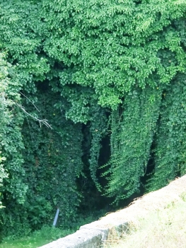 Mondovì Tunnel lower portal