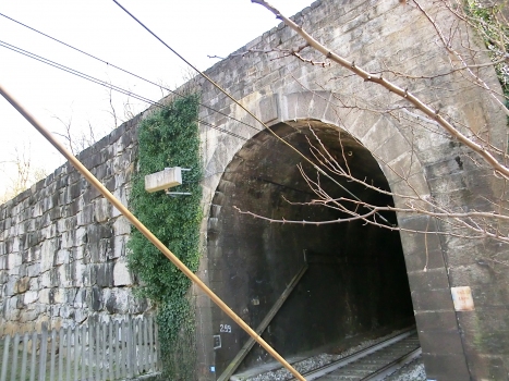 Monica Tunnel northern portal