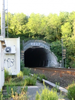 Monterosso Tunnel southern portal
