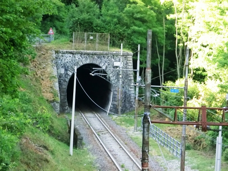 Morello Tunnel southern portal