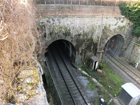 Tunnel Olmo