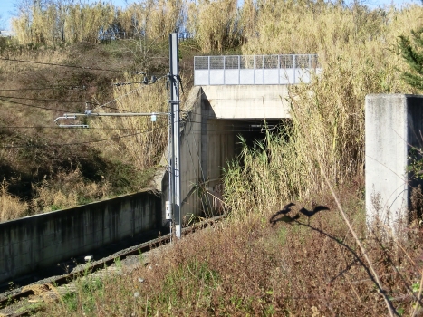 Orciano Tunnel southern portal