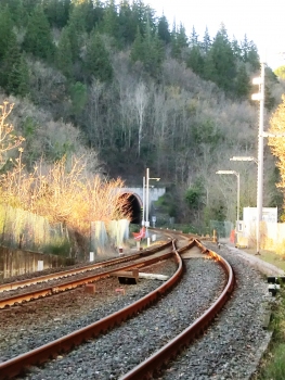 Paretaio Tunnel southern portal