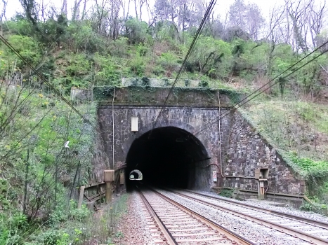 Pareto Tunnel northern portal