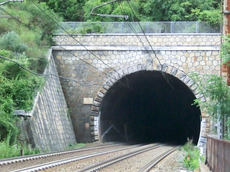 Pecorile Tunnel eastern portal