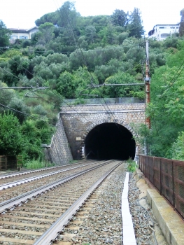 Túnel de Pecorile