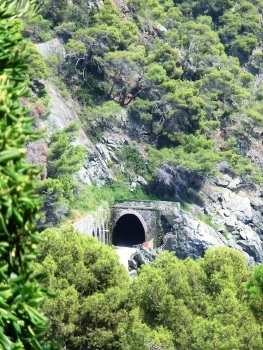 Pescatori Tunnel southern portal