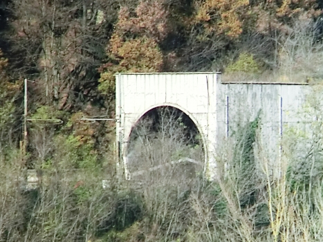 Pian dell'Asinello Tunnel southern portal