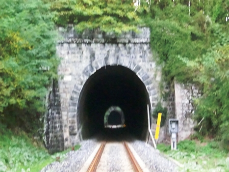 Piantaia Tunnel southern portal and, in the back, Cortinella Tunnel southern portal