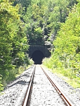 Tunnel de Pinzano