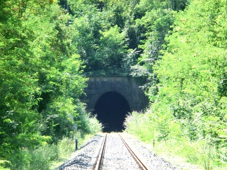 Pinzano Tunnel northern portal
