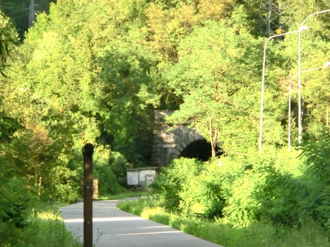 Tunnel de Ponteperaria I