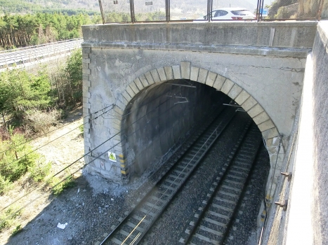 Pont Ventoux Railway Tunnel eastern portal