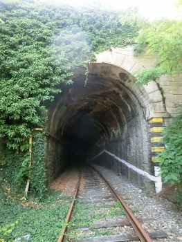 Tunnel de Priorad