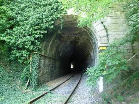 Tunnel Priorad