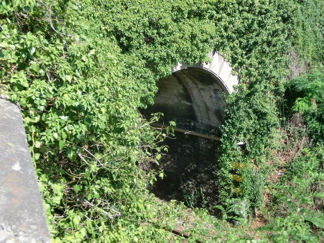 Priorad Tunnel western portal