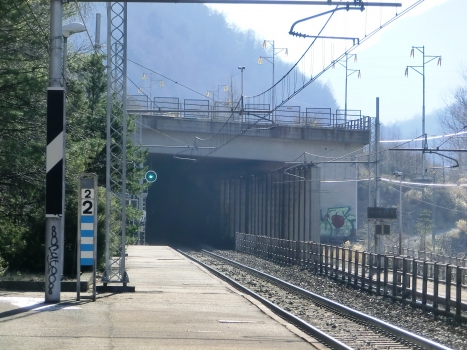 Quaglie Tunnel eastern portals
