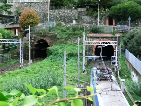 Recco Tunnel southern portals