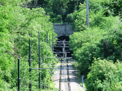 Revoltella Tunnel northern portal