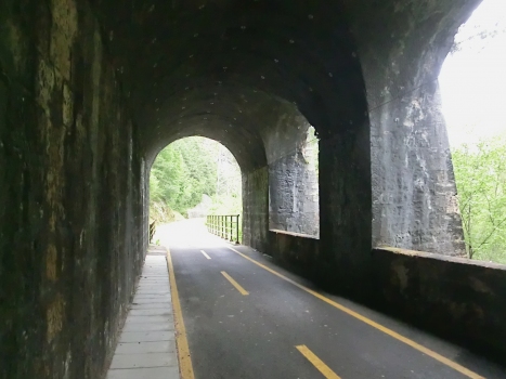 Tunnel Rio dei Forti