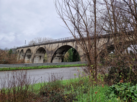 Rio de Paoli Viaduct