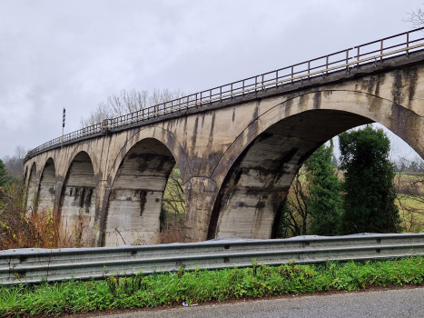 Rio de Paoli Viaduct