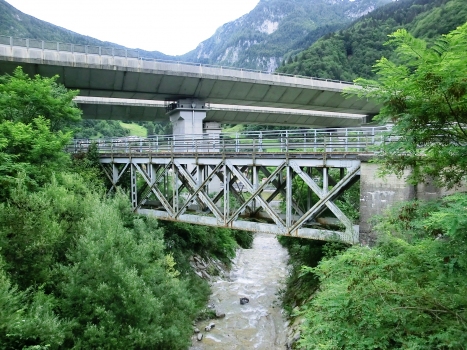 Rio Osvaldo-Brücke