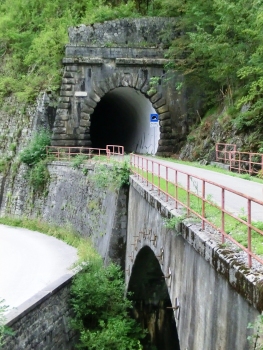 Tunnel Rio Palate