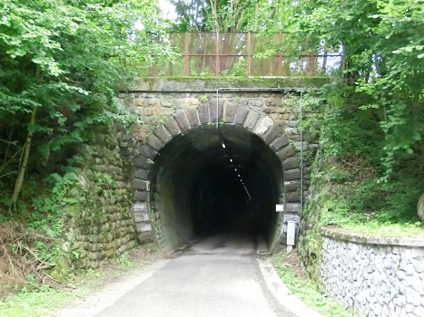 Tunnel Rio Rank