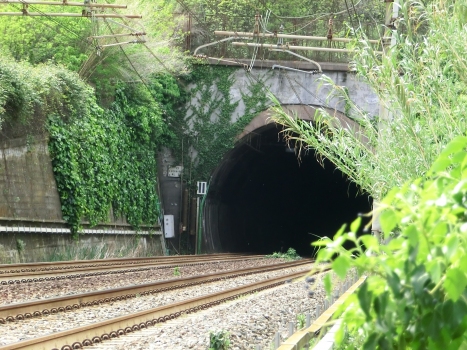 San Bernardino Tunnel eastern portal