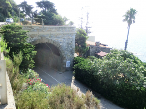 San Lorenzo Tunnel western portal
