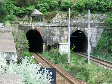 Sant'Anna East and West Tunnel northern portals