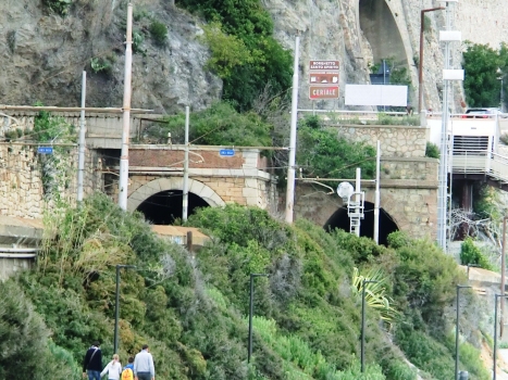 Santo Spirito West (on the left) and Santo Spirito East Tunnels southern portals
