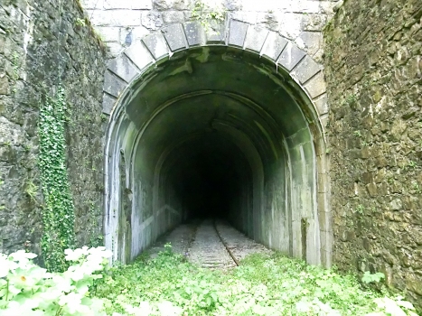 Sasso Tagliato Tunnel northern portal