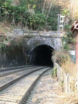 Tunnel de Scuderie Borromeo