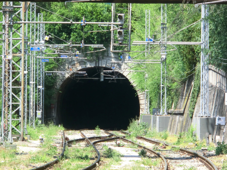 Servola Tunnel southern portal