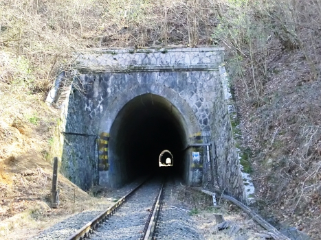 Stornina Tunnel northern portal and, in the back, La Carrata Tunnel