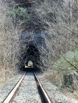 Stornina Tunnel northern portal and, in the back, La Carrata Tunnel
