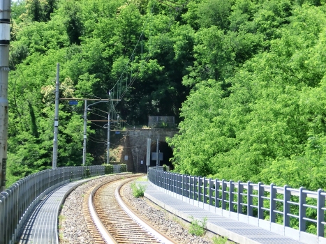 Delle Svolte Viaduct and Strada Bolognese Tunnel eastern portal