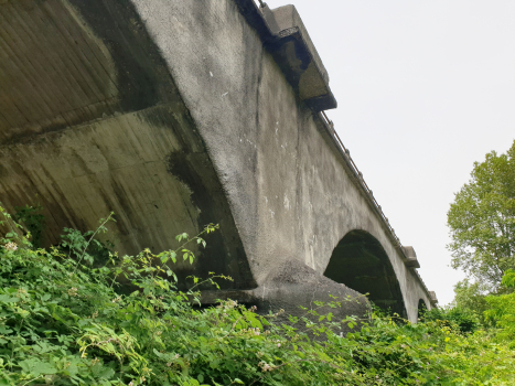 Taro Bridge (Fornovo)