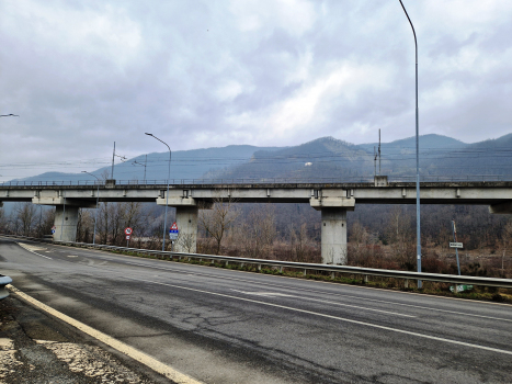 Taro II Viaduct