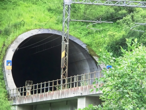 Tarvisio Tunnel western portal