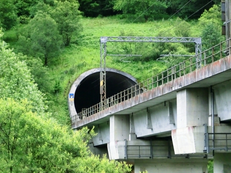 Priesnig Viaduct and Tarvisio Tunnel western portal