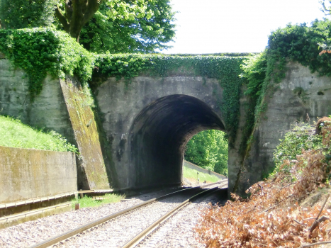 Villa Orlanda Tunnel northern portal