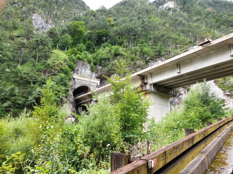 Zuc dal Bor Tunnel northern portal and Rio Ponte di Muro Viaduct