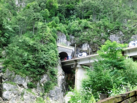 Viaduc sur le Rio Ponte di Muro