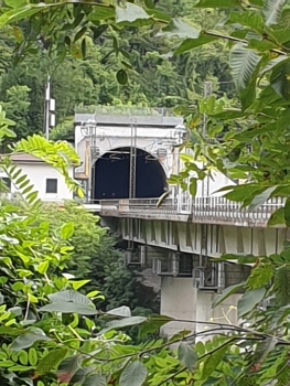 Zuc dal Bor Tunnel western portal and Val Aupa Viaduct