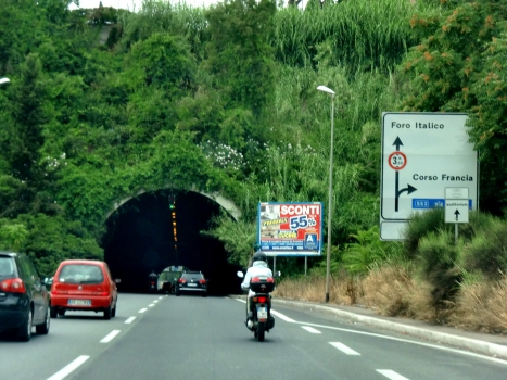 Fleming Tunnel eastern portal